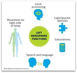 Brain-Balance-Centers-Left-Brain-Controls-1.png-1.png Brain-Balance-Centers-Left-Brain-Controls-1.png-1.png