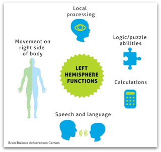 Brain-Balance-Centers-Left-Brain-Controls-1.png-1.png