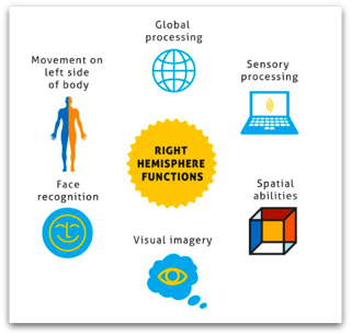 Brain-Balance-Centers-Right-Brain-Functions1-1.png