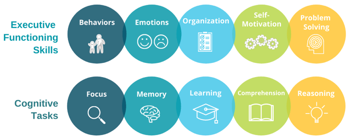 FINAL Cognitive Skills and Executive Functioning Skills Graphic Transparent-1-1