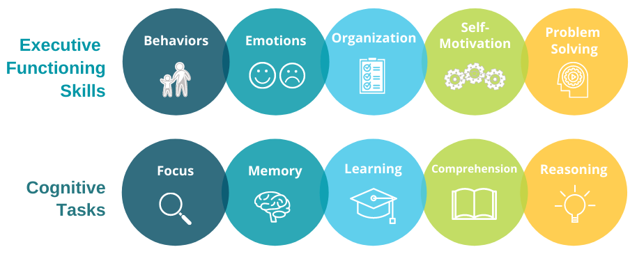 FINAL Cognitive Skills and Executive Functioning Skills Graphic Transparent-1-1