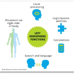 Brain Balance Centers Left Brain Dominance