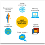 Brain Balance Centers Right Brain Functions