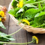 dandelion salad