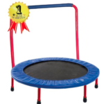 mini-trampoline