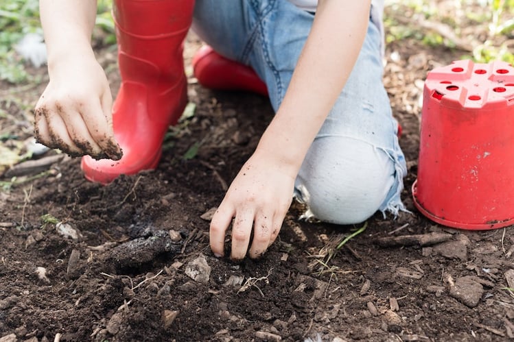 spring-play-in-dirt-healthy-benefits.jpeg