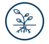 icon_brain balance program_roots icon_brain balance program_roots