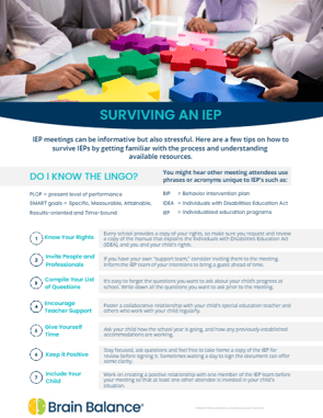 iep guide 2022