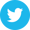 twitter icon