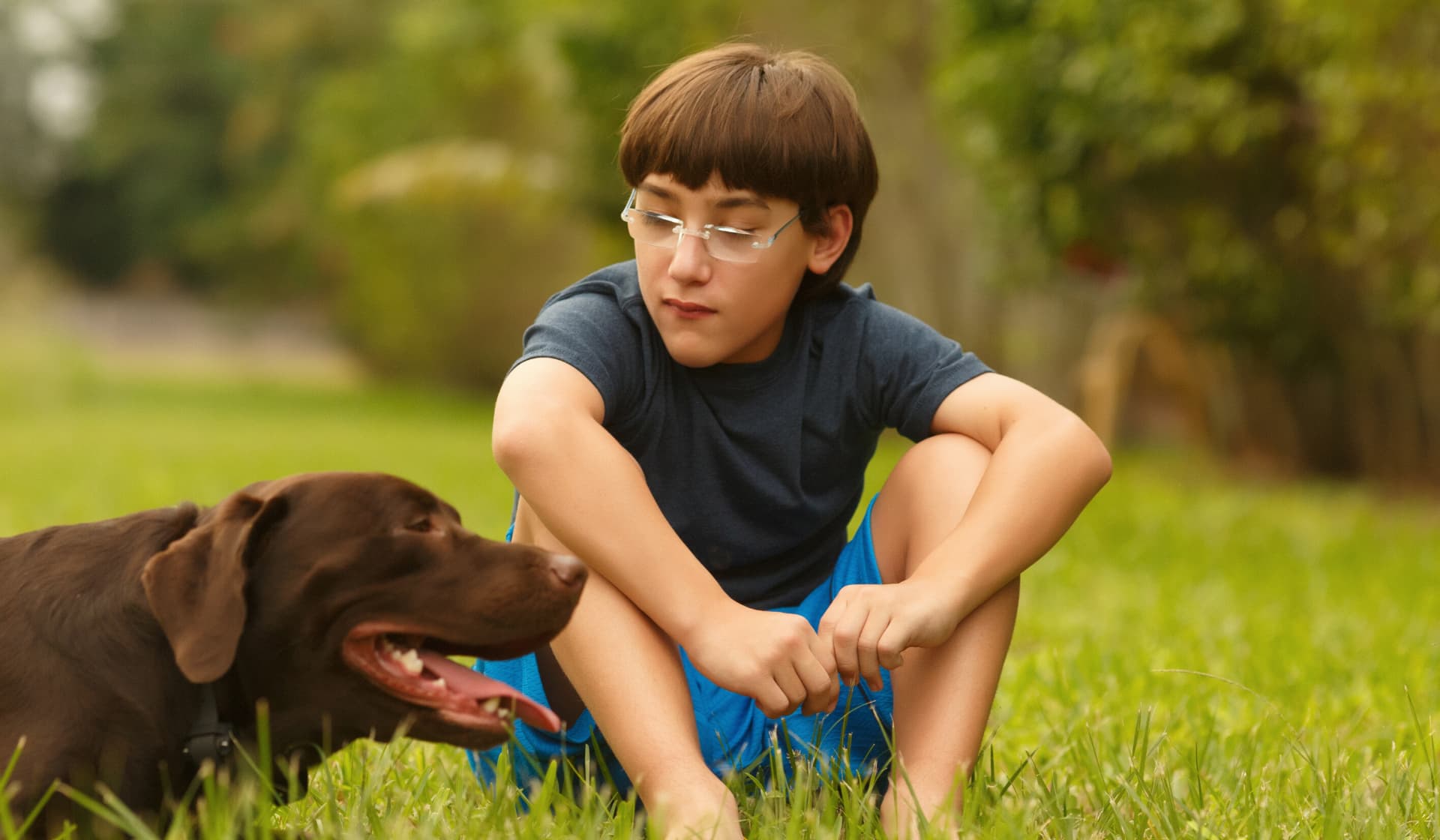 how to train a dog for autistic child