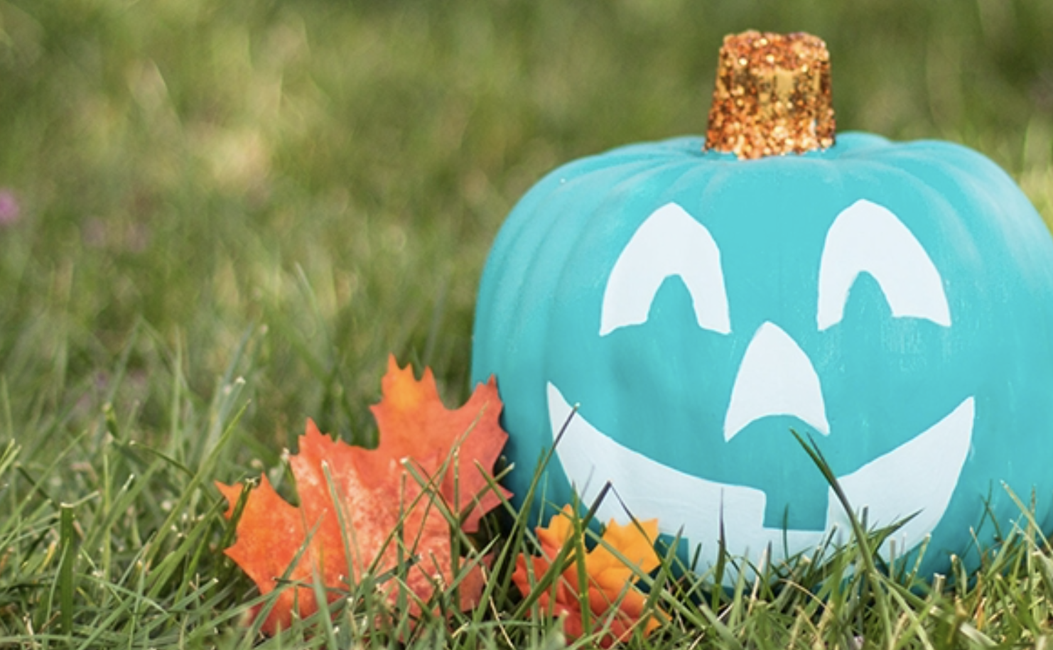 teal-pumpkin-project-balance360